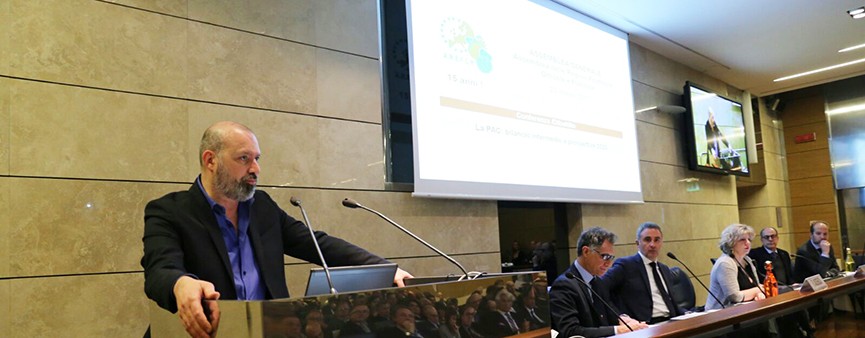 Emilia-Romagna tra i leader europei per la produzione di ortofrutta