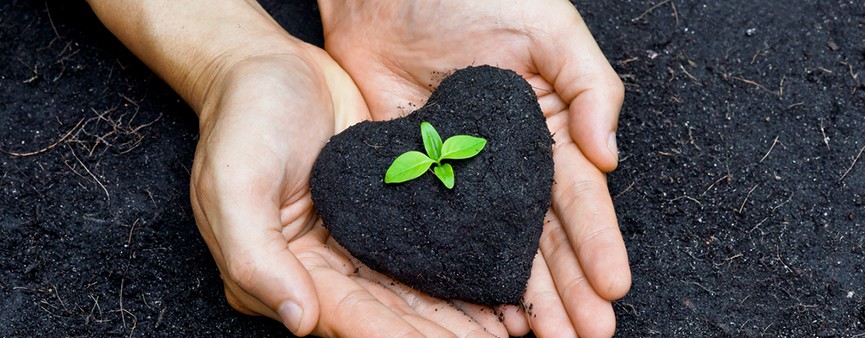 Biodiversità e ricerca: la “Rivoluzione Verde”