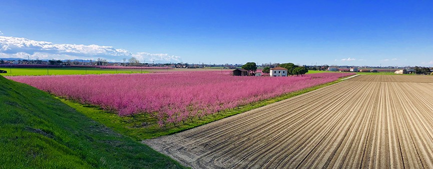 Nella “Terra della Pera” il record di investimenti per l’agroalimentare