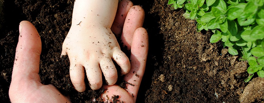 Diventare agricoltore: agevolazioni e opportunitÃ