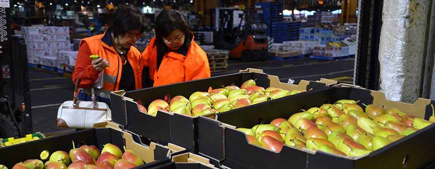 Vola l'export di ortofrutta italiana