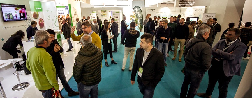 Prima giornata con affluenza straordinaria di pubblico
