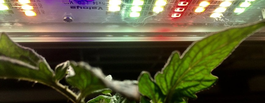 Nasce il Joint Lab: la ricerca scientifica per il bene delle piante
