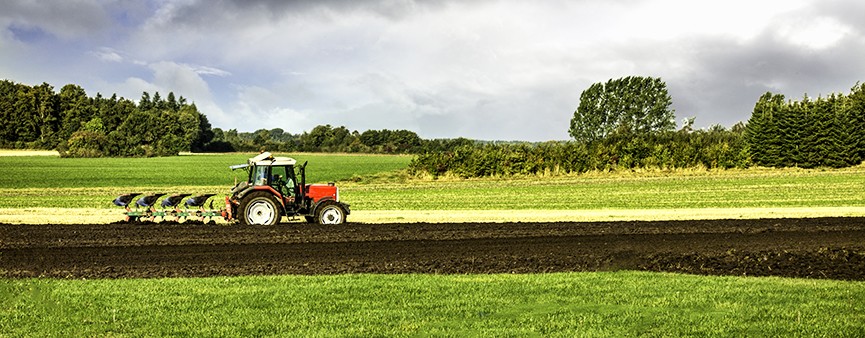 In Emilia - Romagna aumentano produzione ed export