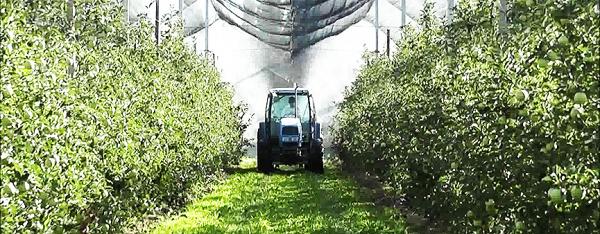 Giornata tecnica alla Fondazione Navarra di Ferrara