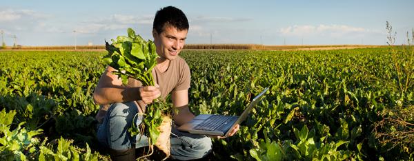 L’Europa punta sui giovani agricoltori