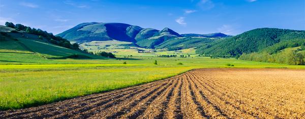 Banca delle terre agricole: 8mila ettari per il futuro dei giovani agricoltori