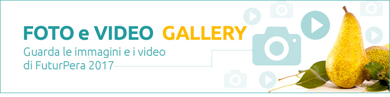 banner foto video gallery