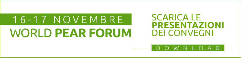 banner wpf stretto presentazioni