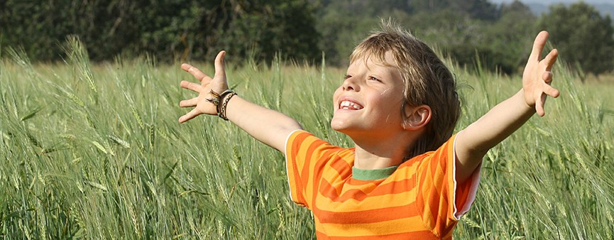 Agricoltura italiana sempre più sostenibile