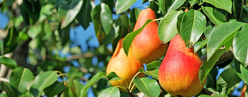 Calo dell'export e settore pericolo