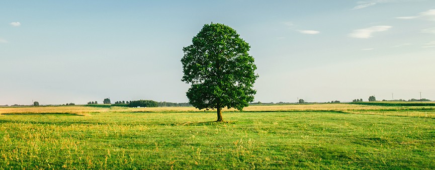 Le associazioni agricole incontrano il Governo