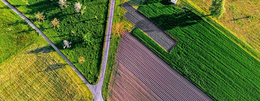 ISTAT: cresce l'economia agricola italiana
