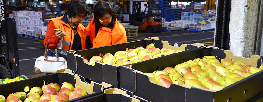 Le nuove opportunità di mercato al centro del World Pear Forum