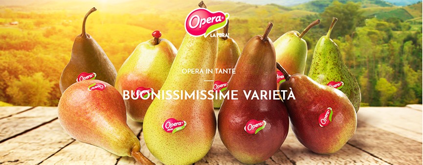 Opera a Futurpera 2019 con tante proposte.
