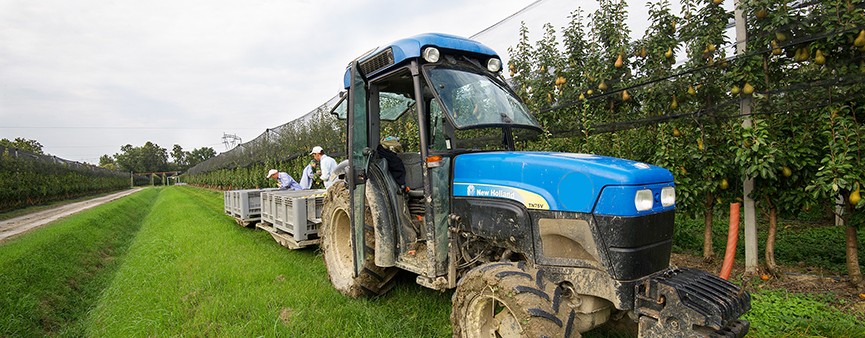 Sicurezza settore agricolo