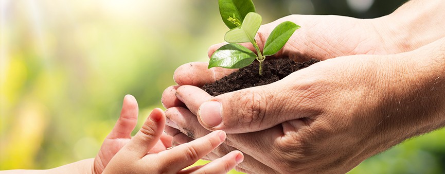 3 giugno: rapporto 2018 sull'agricoltura dell'Emilia-Romagna