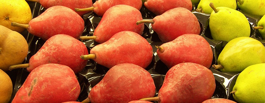 Segnali positivi dal Tavolo ortofrutticolo